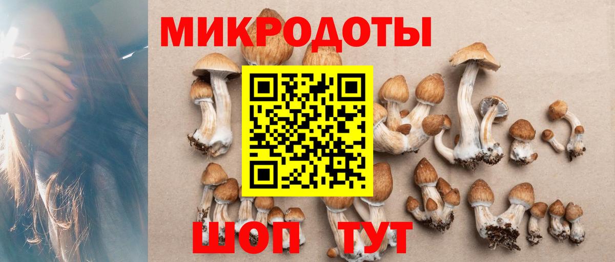 Псилоцибиновые грибы Magic Shrooms Вышний Волочёк